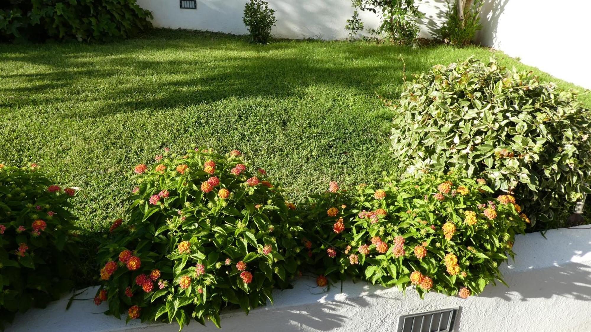 B&B Oliena Exterior foto